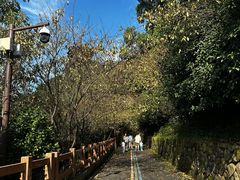 -杭州半山国家森林公园