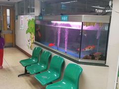 -广州市第一人民医院(院本部)