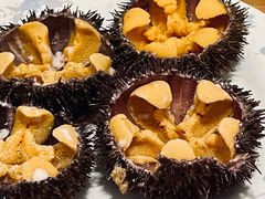 -海胆小馆(东北水饺·春柳店)