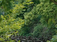 -宝岩生态观光园