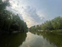 -三忘湖 SWANSEEN(柳荫公园店)