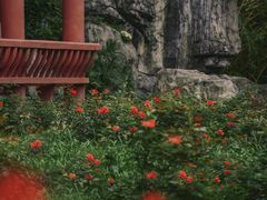 -深圳国际园林花卉博览园