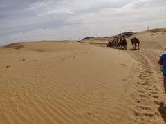 -银肯塔拉沙漠生态旅游景区
