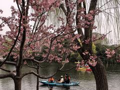 -新江湾城公园