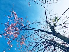 -星巴克(深圳前海企业公馆店)