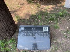 -静园(和平区)