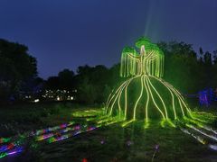 -西青郊野公园