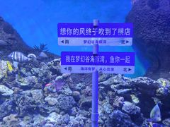 -横店影视城梦幻谷园区