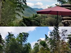 -宁波浙东大竹海景区