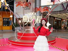 -VT101维多利广场