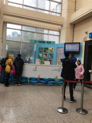 -上海交通大学医学院附属上海儿童医学中心(陆家嘴总院区)