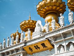 -上海东林寺(金山区)