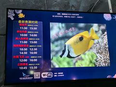 -合肥海洋世界