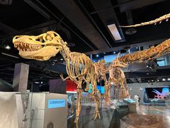 -墨尔本博物馆(Melbourne Museum)