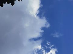 -南湖湿地公园