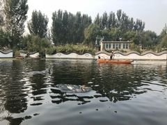 -白洋淀景区
