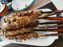 红柳枝羊肉串-帕米尔食府(白云观店)
