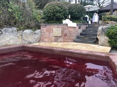 -天目湖涵田半山温泉