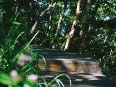 -白草畔自然风景区