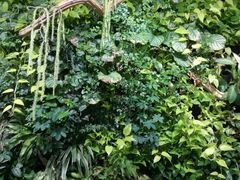 -Seesaw Coffee(环贸iapm店)