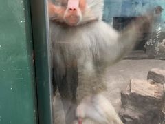 -无锡动物园·太湖欢乐园