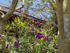 -广州白江湖森林公园