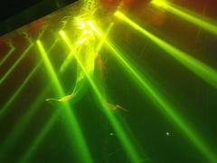 -芜湖新华联大白鲸海洋公园