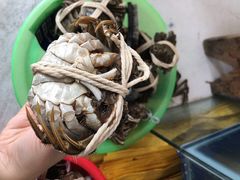 -阳澄湖大闸蟹·琼灵阁牌品牌连锁(吴中总店)