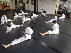 -金翼跆拳道巴西柔术拳击格斗学院