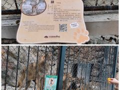 -大连森林动物园