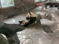 -宁波野生动物园