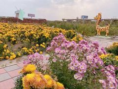 -兴芮温泉度假区