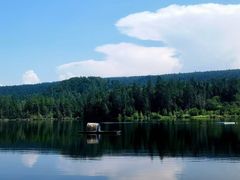 -五营红松林海景区