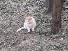 -北京凤凰岭
