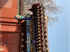 -元大都城垣遗址公园