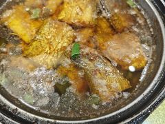 -苏启渔港(云南北路店)