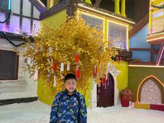 -世界之窗阿尔卑斯冰雪世界
