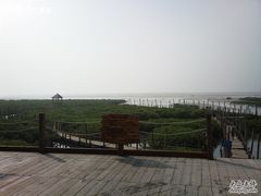 -北海金海湾红树林生态旅游区