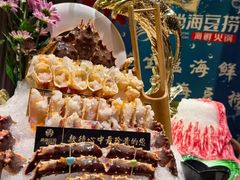 -尚海豆捞(乐虹坊店)