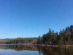 景点-五营红松林海景区