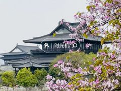 -东山湖公园