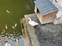 -苏州文庙(姑苏区)