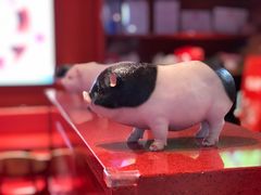 -猪角·闽南猪脚饭(上梅林店)