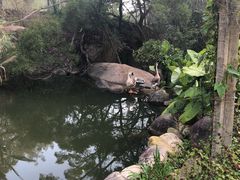 -厦门园林植物园-植物园滴水山房