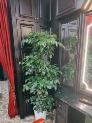 -豪帅男士理容馆