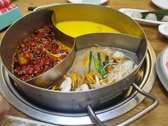 -青瓷火锅料理(西单大悦城店)