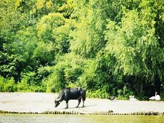 -上海野生动物园