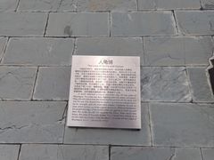 -广东惠东海龟国家级自然保护区