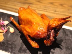 红烧鸽-大鸽饭(岗顶店)