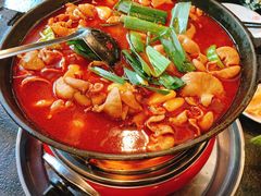 湘味肥肠火锅-湘肠香火锅店(团结湖店)